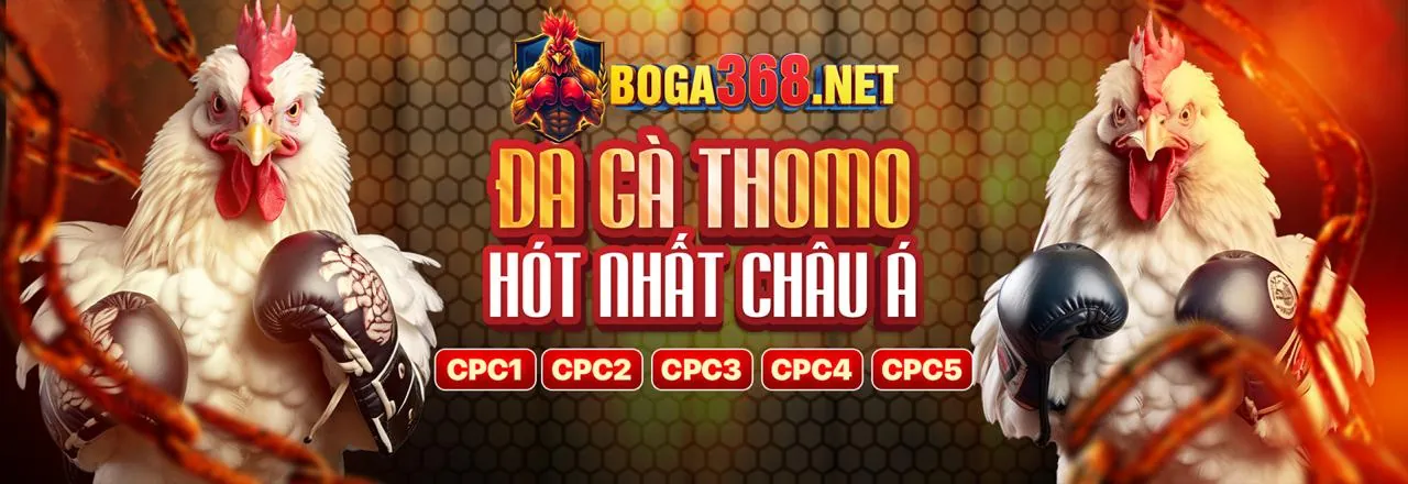 Hình ảnh giới thiệu vnd288 đăng ký với các trò chơi cá cược và giải trí đa dạng